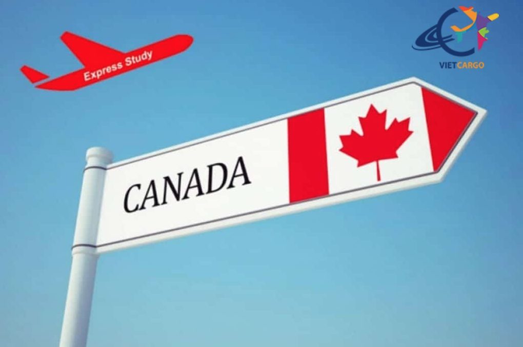 Dịch Vụ Gửi Hàng Quốc Tế Đi Canada Uy Tín từ Việt Nam Dịch-Vụ-Gửi-Hàng-Quốc-Tế-Đi-Canada-Uy-Tín-từ-Việt-Nam