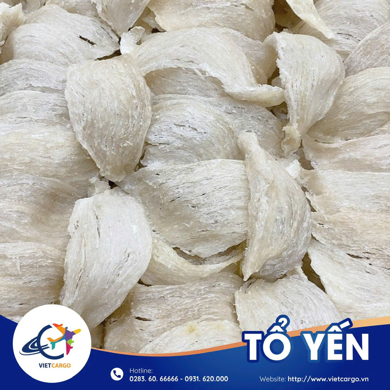 Vận chuyển yến sào đi Canada